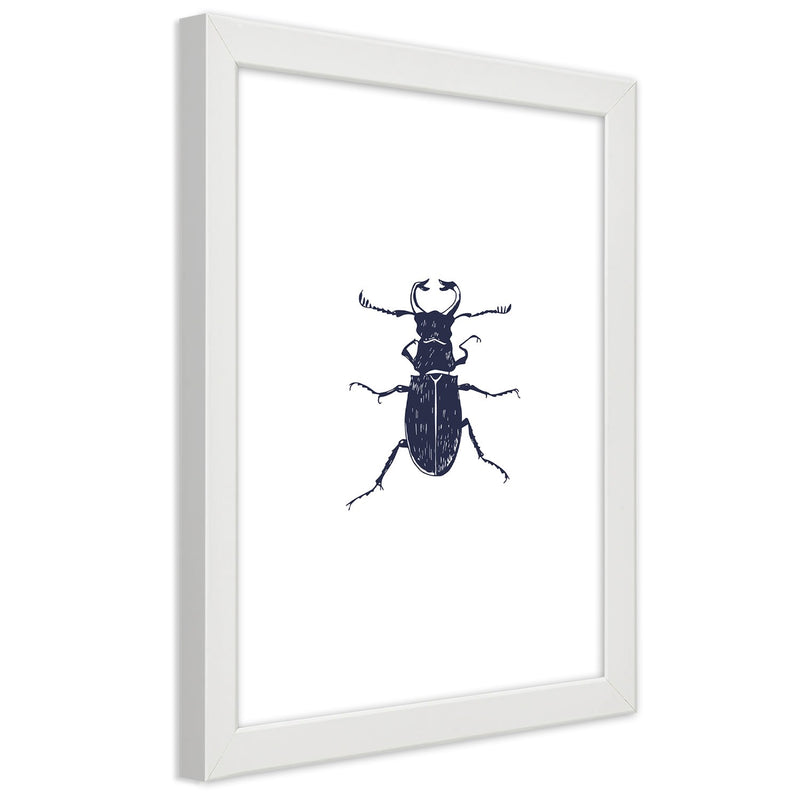 Cuadro en marco blanco, Escarabajo negro