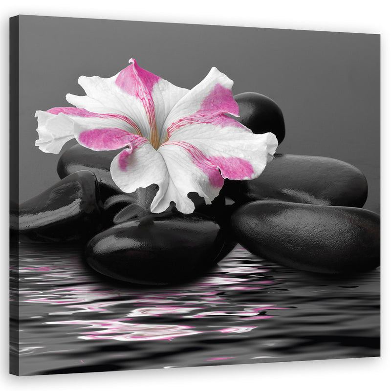 Canvas print, Stones Pink Flower Zen