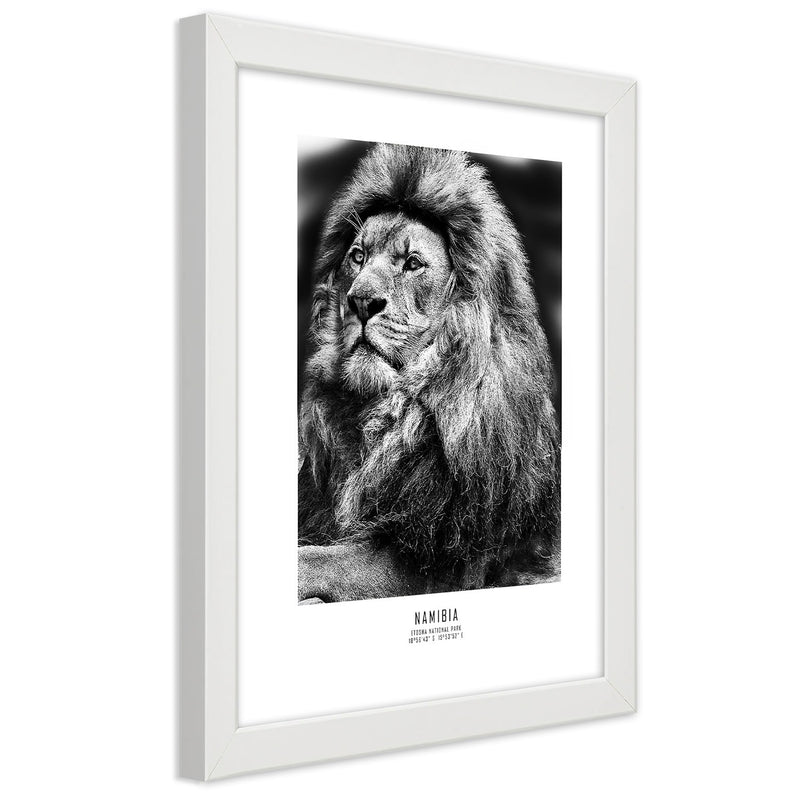 Picture in white frame, Symbol of africa