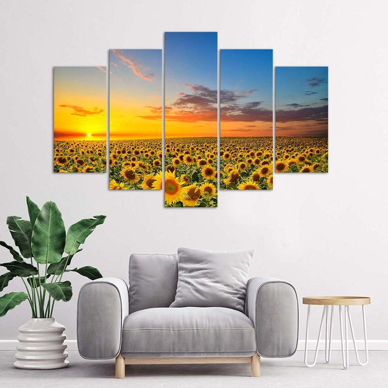 Five piece picture canvas print, Sunflowers on a meadow