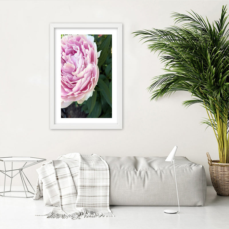 Picture in white frame, Pretty pink peony