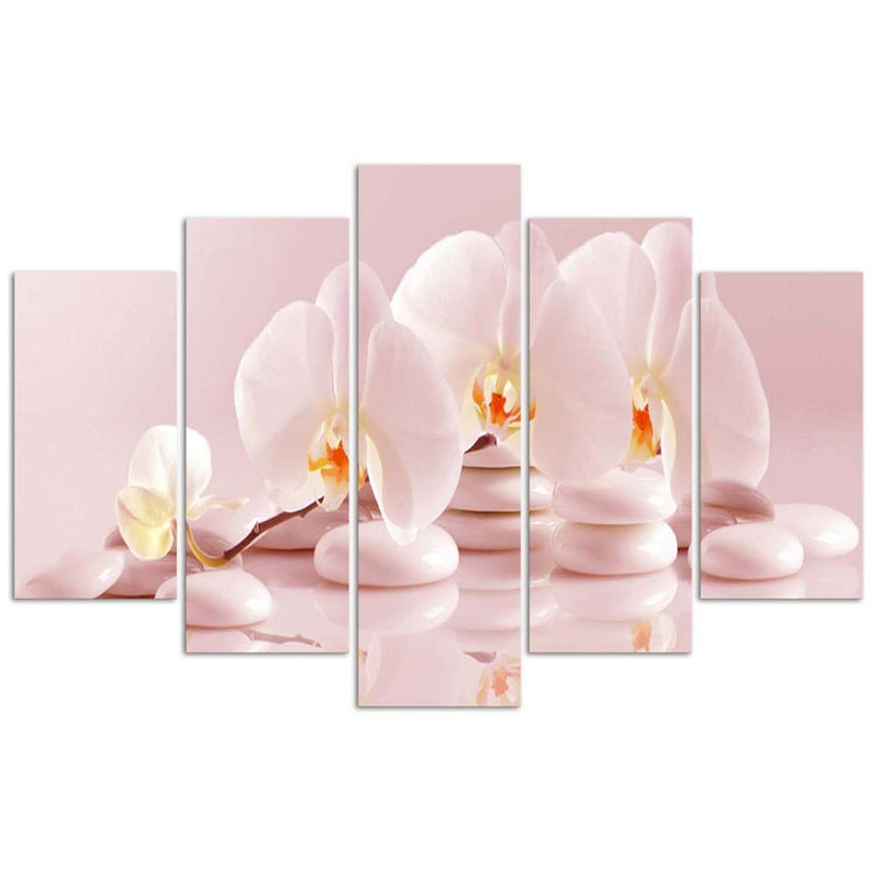 Five piece picture deco panel, Orchid on stones
