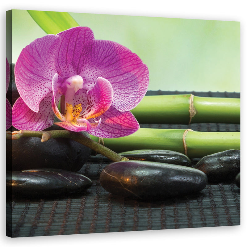 Canvas print, Orchid on black stones