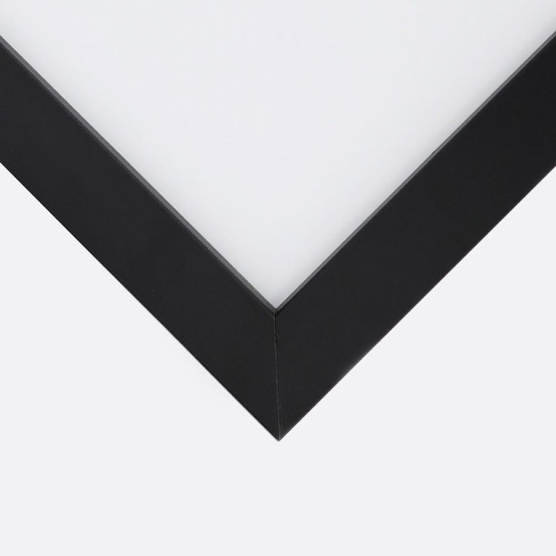 Imagen en marco negro, capullo de loto blanco