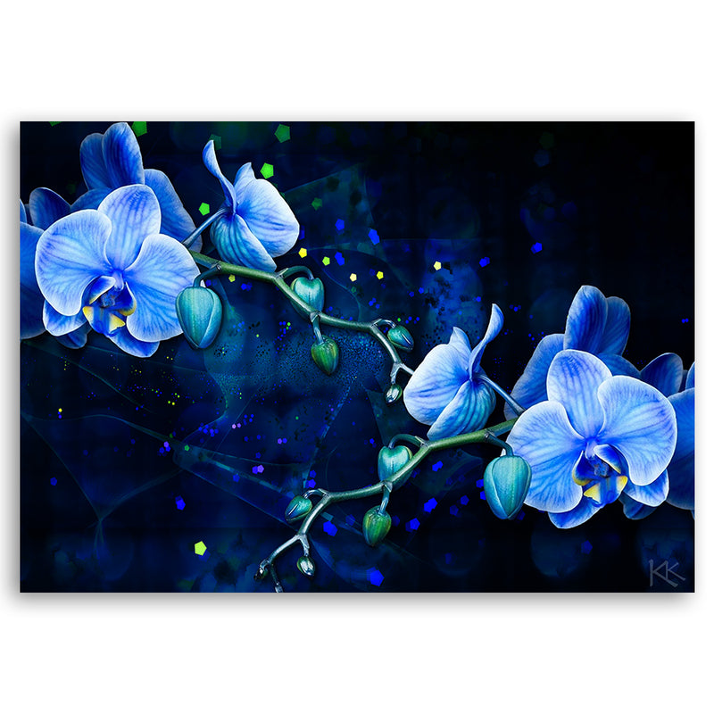 Canvas print, Blue orchid flower
