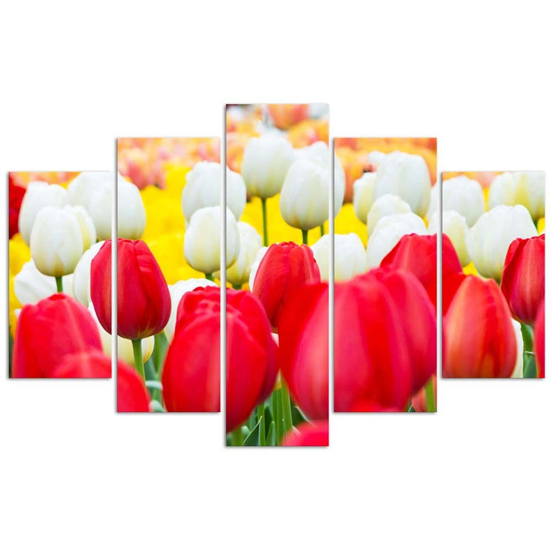Five piece picture deco panel, White and red tulips
