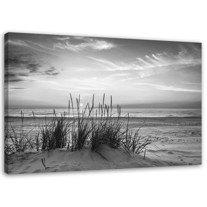 Canvas print, Grasses on the beach - black and white