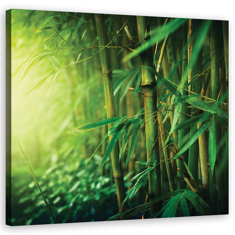 Canvas print, Jungle bamboo