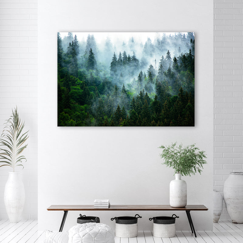 Canvas print, Forest in the fog