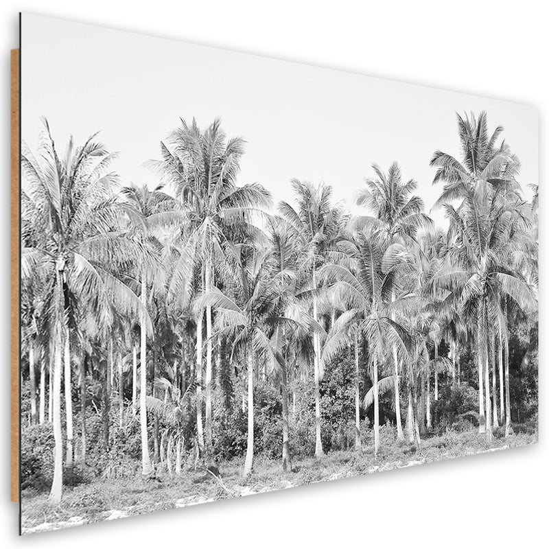 Cuadro decorativo con estampado de palmeras en blanco y negro en la jungla.