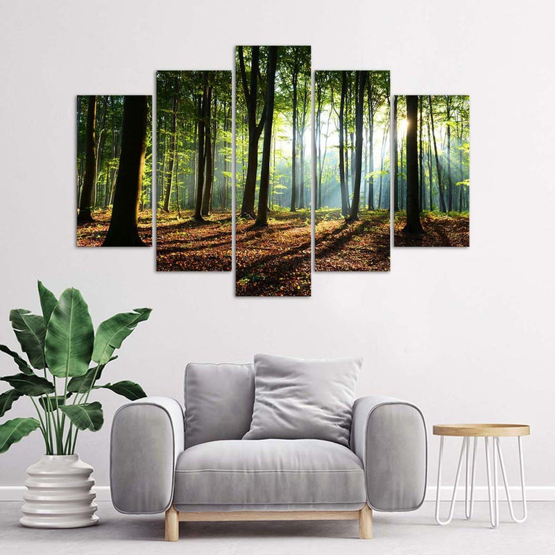 Five piece picture canvas print, Sunrays in the forest
