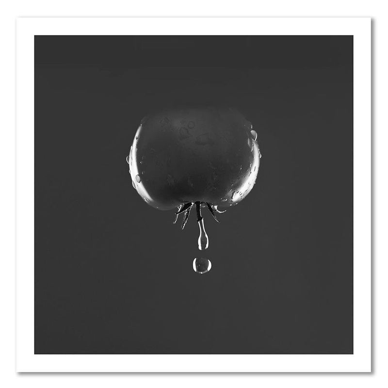 Deco panel print, Tomato and water droplets - black and white