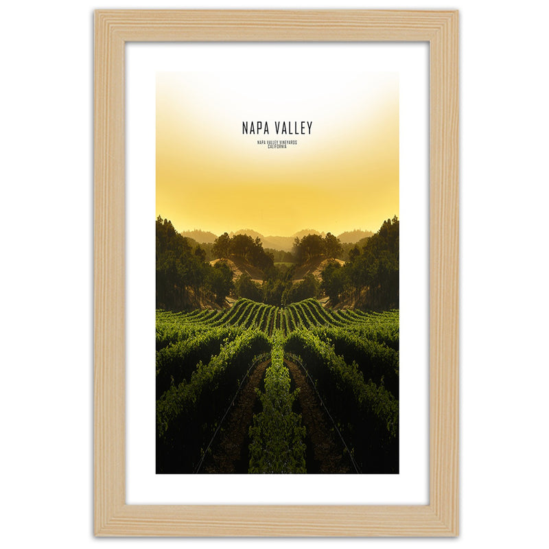 Picture in natural frame, Vineyards in napa vallley