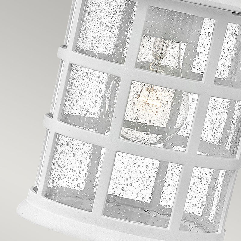 Outdoor wall light Hinkley (HK-FREEPORT2-M-TWH) Freeport weather resistant composite, clear seeded glass E27